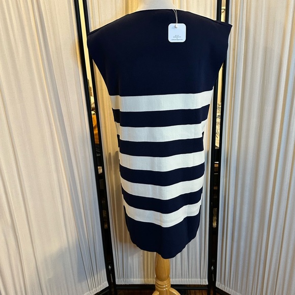 Entro Blue and White Mini Dress Chic and Versatile - Picture 3 of 4